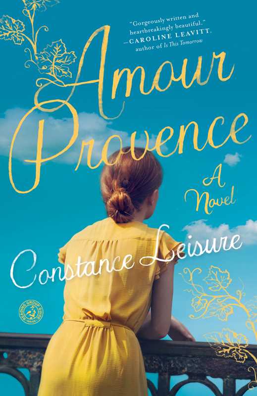 Amour Provence by Constance Leisure: Paperback; 288 pages / English