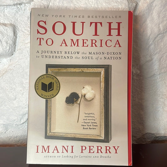 South to America: A Journey Below the Mason-Dixon to Understand the Soul of a Nation- Imani Perry