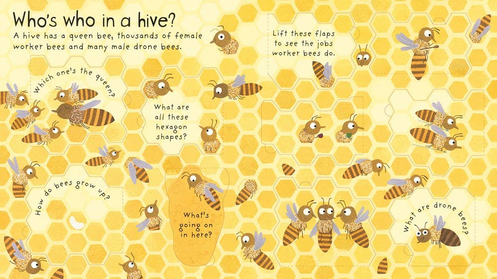 First Questions and Answers: Why do we need bees?