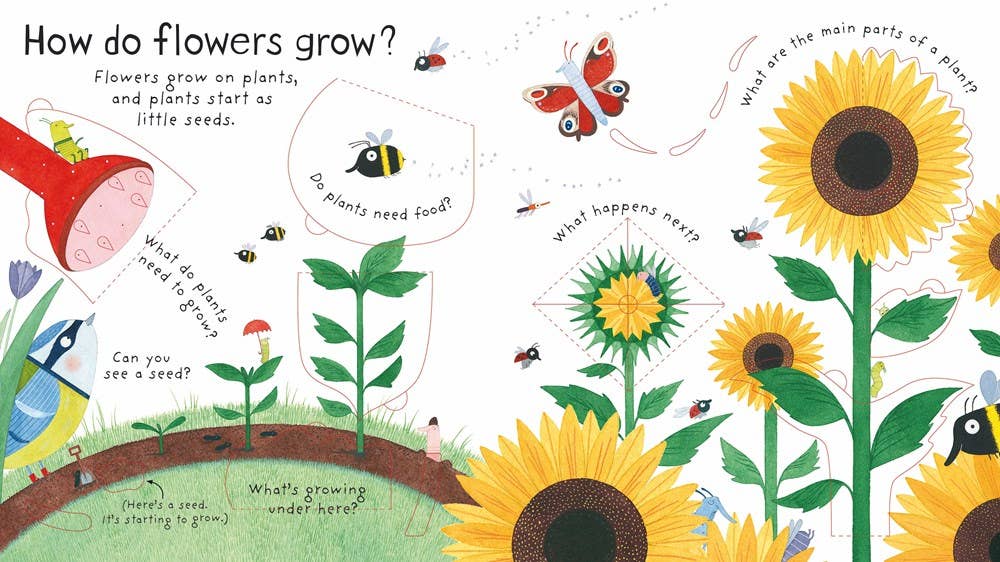 First Questions and Answers: How do flowers grow?