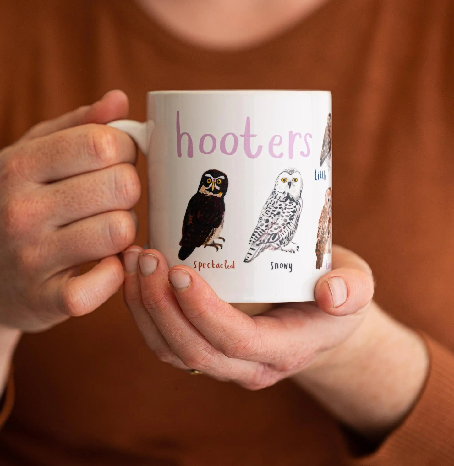 Hooters Bird Pun Owl Fowl Language Coffee or Tea Mug