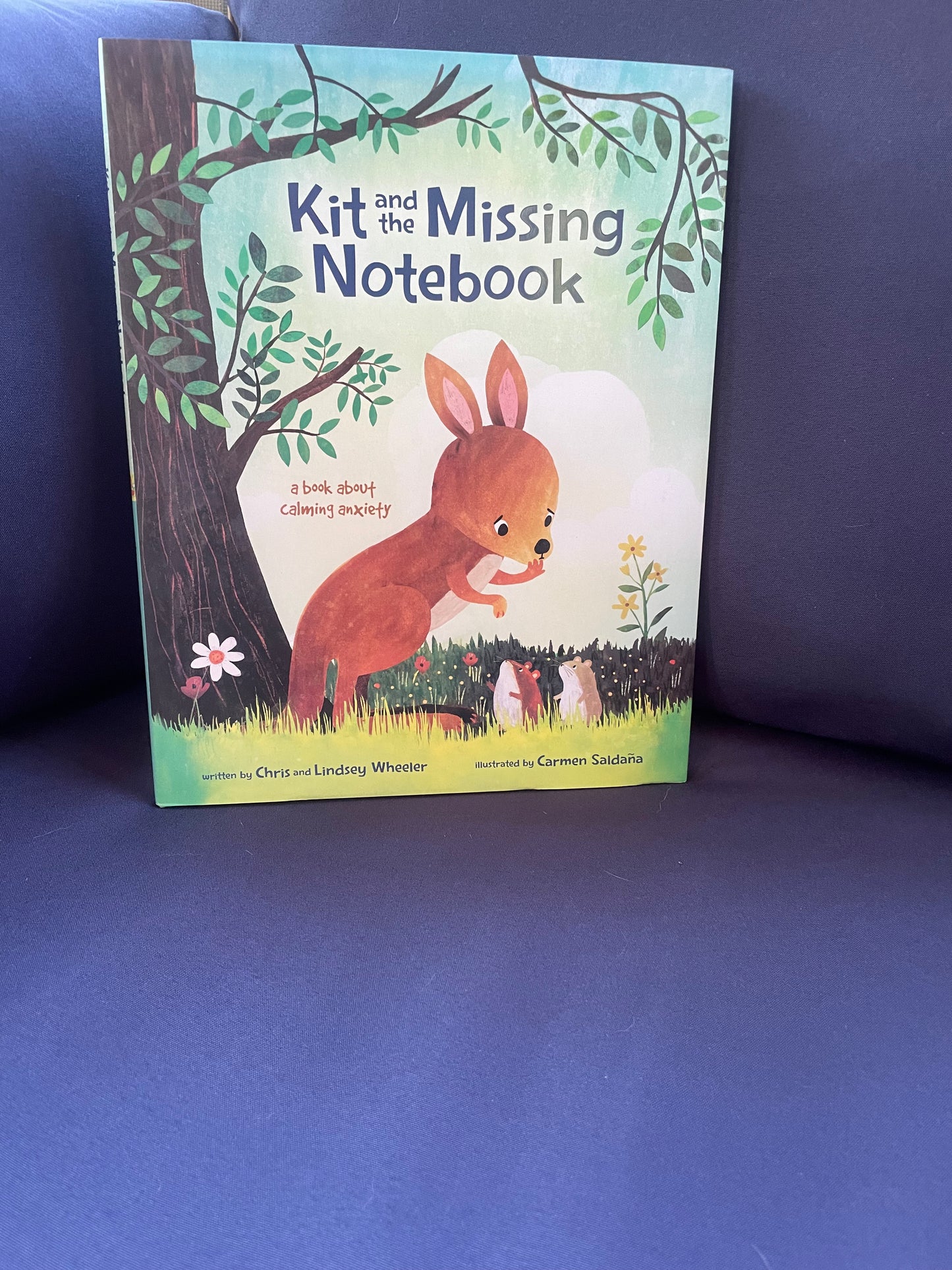 Kit and the Missing Notebook: A Book About Calming Anxiety - Chris Andrew