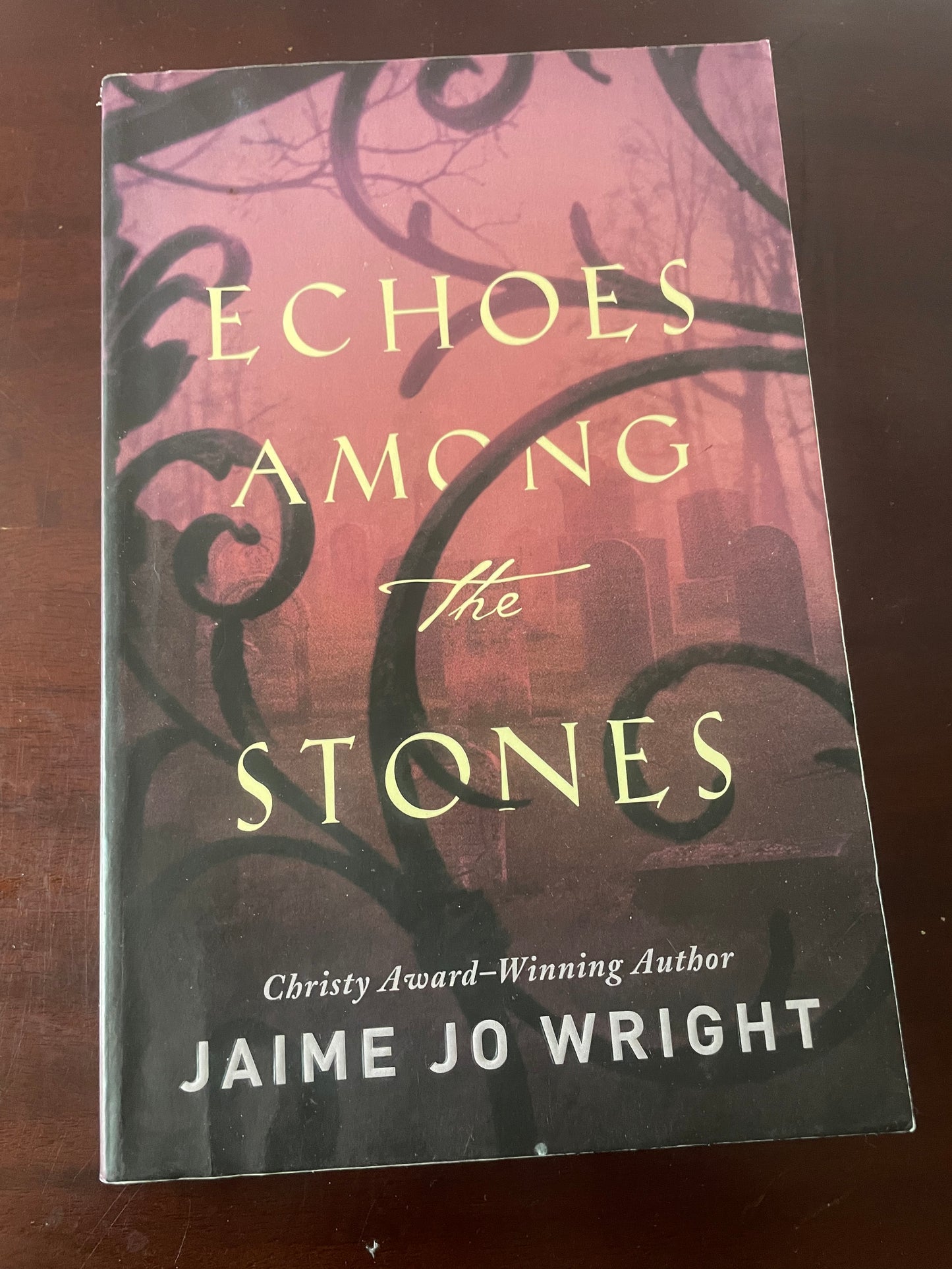 Echoes Among the Stones - Jaime Jo Wright - Pre-Loved